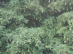 -南宁南湖公园