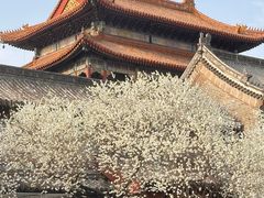 -雍和宫(地铁站)