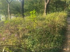 -白塘生态植物园