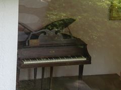 内景-鼓浪屿钢琴博物馆