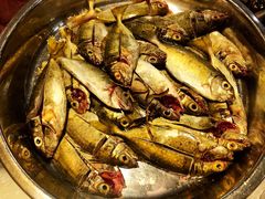 泥猛-顺德粥城·叹茶食粥(良化店)
