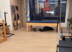 -康舒普拉提工作室control pilates