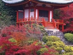 -学习谷日语培训日本留学·多语种外语教学(西单宣武分部)