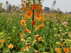 -中国天府农业博览园