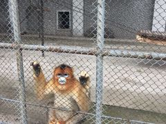 -哈尔滨北方森林动物园