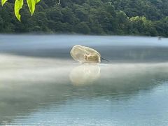 -东江湖旅游区