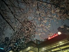 -玛格萝妮比萨屋(四平店)