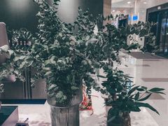 -ICEPOPO MILK(玖洲道店)