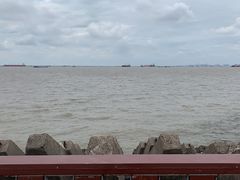 -上海滨江森林公园