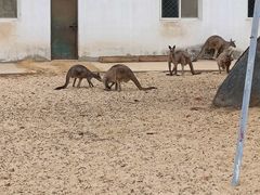 -秦皇岛野生动物园