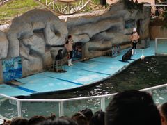 -泉州海丝野生动物世界