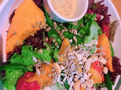 -Wagas沃歌斯(大学路店)