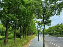 -尚贤河湿地