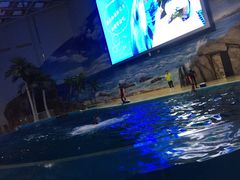 -福州罗源湾海洋世界旅游区