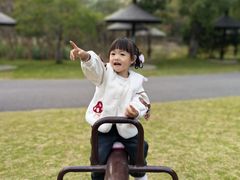 -梁鸿国家湿地公园