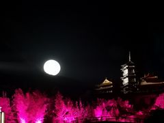 -禅宗少林·音乐大典
