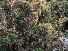 -北国之春国宴(乌兰察布店)