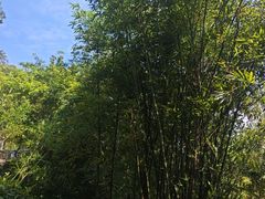 -鸿山公园