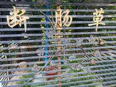 -广州神农草堂中医药博物馆