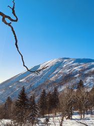 -大秃顶子山