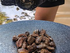 -北仑森林植物园