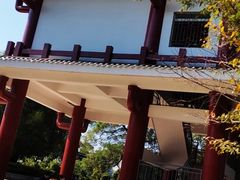 -金鸡山公园