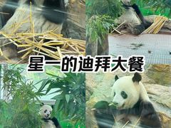 -广州动物园