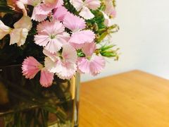 -PETIT PARIS 小巴黎(花园道店)