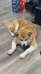 -泫舞舞蹈工作室