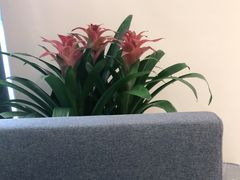 -招商银行(北京三里屯支行)