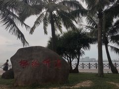 -万绿园