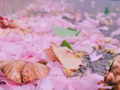-冯氏烧烤(凯旋路总店)