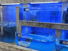 -香山湖渔家大院