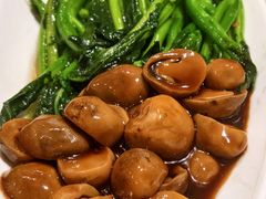 草菇芥兰-熙春园餐厅