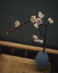 -梵隐SPA