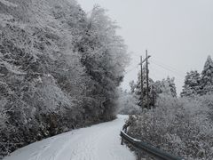 -武陵山森林公园