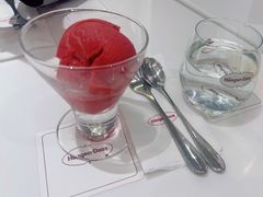 -哈根达斯(武汉天地店)