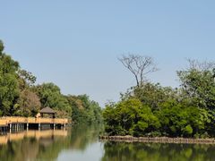 -大湾区中央湿地公园