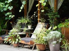 -时光花园(白鹭洲店)