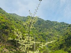 -东白山
