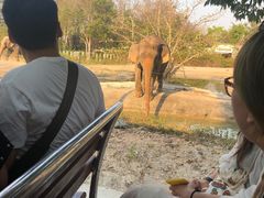 -清迈夜间动物园