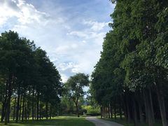 -北坞公园