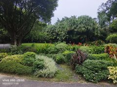 -深圳国际园林花卉博览园