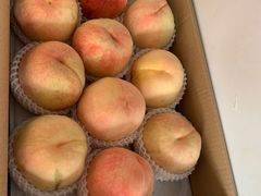 -南汇新场正宗水蜜桃采摘