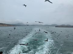 -海驴岛(荣成市)