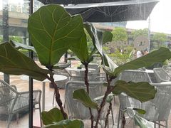 -Wagas沃歌斯(合生汇店)