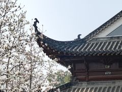 -长春观