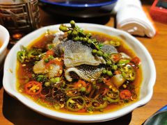 凉拌牛肚-君悦酒店·1881·北京烤鸭