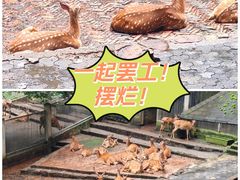 -杭州动物园
