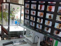 -自然之声助听器·呼吸机(公园路店)